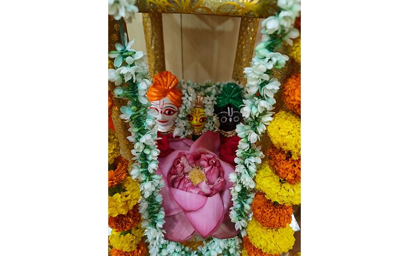 gallery images